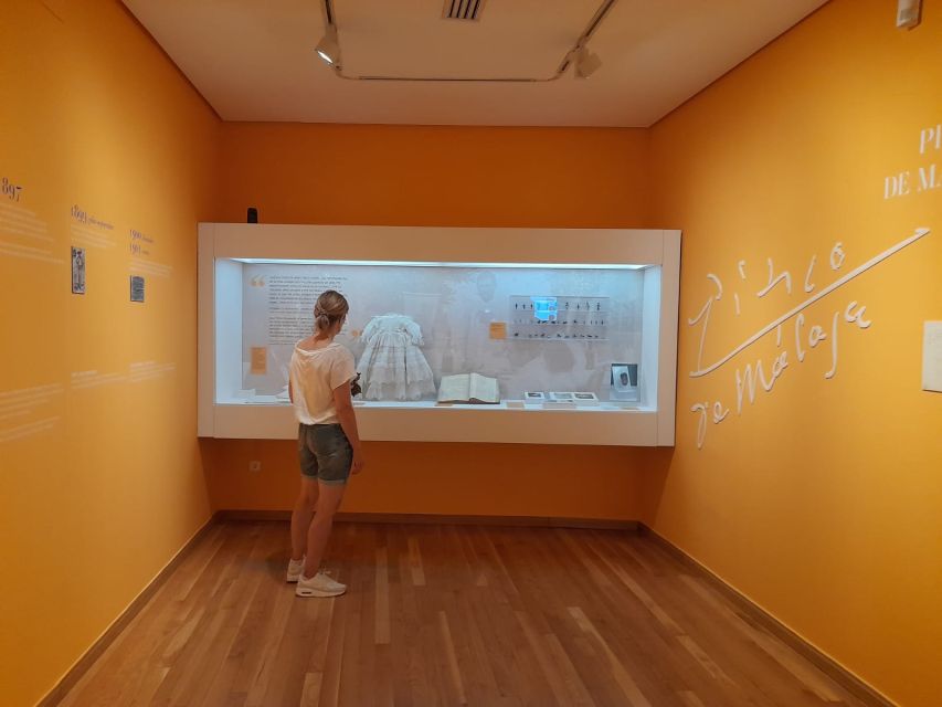 Malaga: Picasso’s Birthplace Museum Entrance Ticket - Starting at Plaza de la Merced