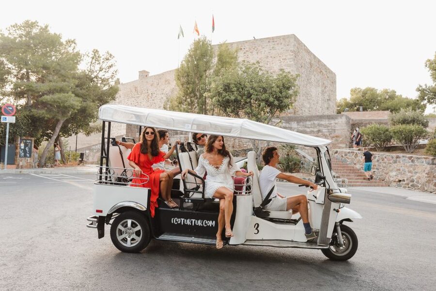 Malaga: Private City Tour by Eco Tuk Tuk - Pompidou Museum and the Málaga port