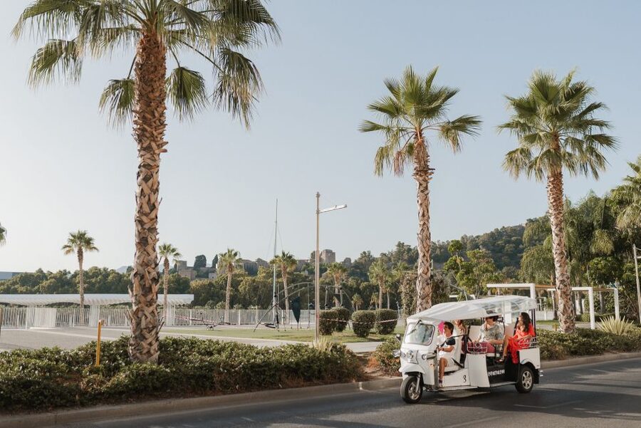 Malaga: Private City Tour by Eco Tuk Tuk - Gibralfaro Castle and the best viewpoint
