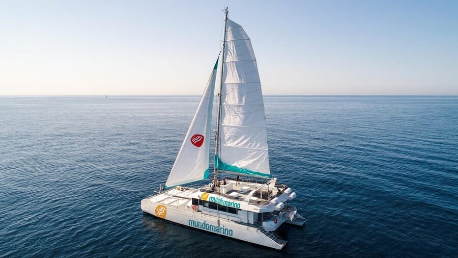 Malaga: Sailing Catamaran with Swimming and Paella Lunch - Swimming away from the crowded beaches