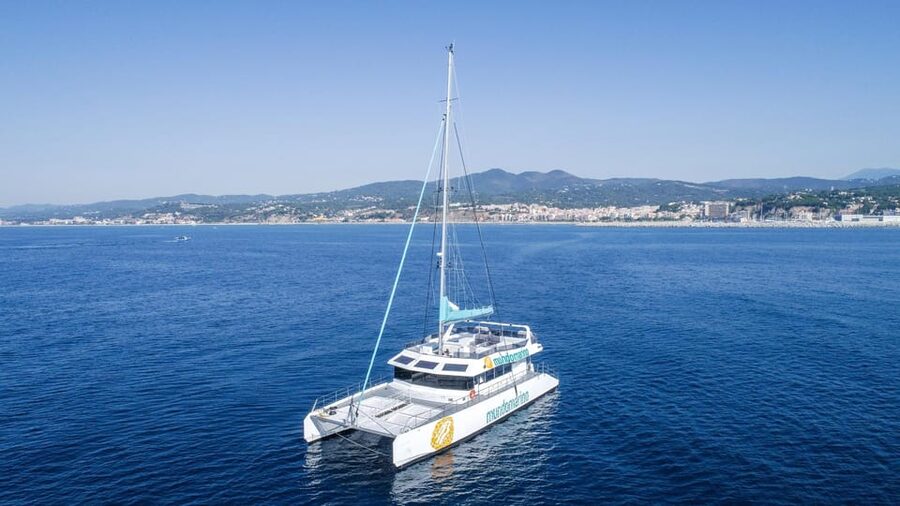 Malaga: Sailing Catamaran with Swimming and Paella Lunch - Is $53 a fair price for the experience?