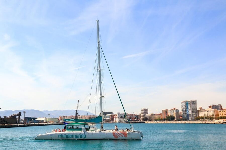 Malaga: Sailing Catamaran with Swimming and Paella Lunch - Who should book this catamaran trip?