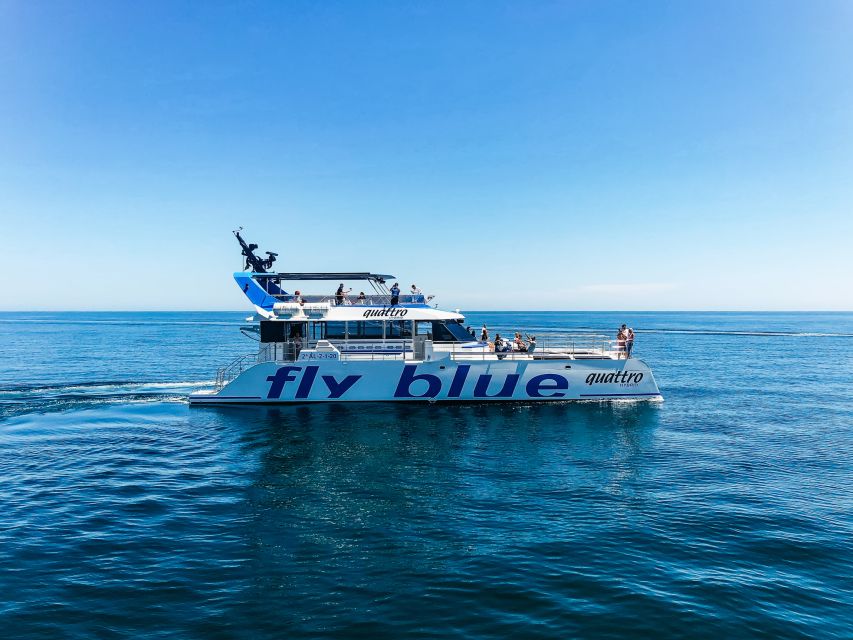 Málaga: Scenic Catamaran Cruise - Is Málaga’s scenic catamaran cruise worth $15?