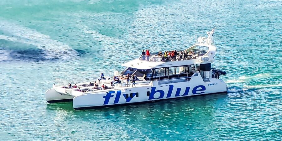 Málaga: Scenic Catamaran Cruise - Music, drinks, and the atmosphere onboard