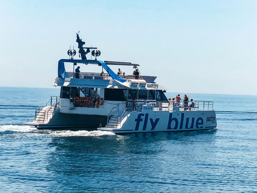 Málaga: Scenic Catamaran Cruise - The swimming question needs careful attention