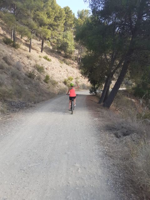 Málaga: Scenic Easy 3-Hour E-Bike Tour in Montes de Málaga - Climbing the Montes de Málaga on an e-bike