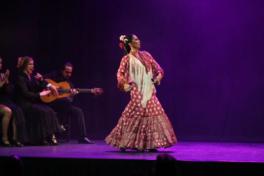 Malaga: Teatro Flamenco Malaga Live Flamenco Show - What the Teatro Flamenco Malaga show is really like