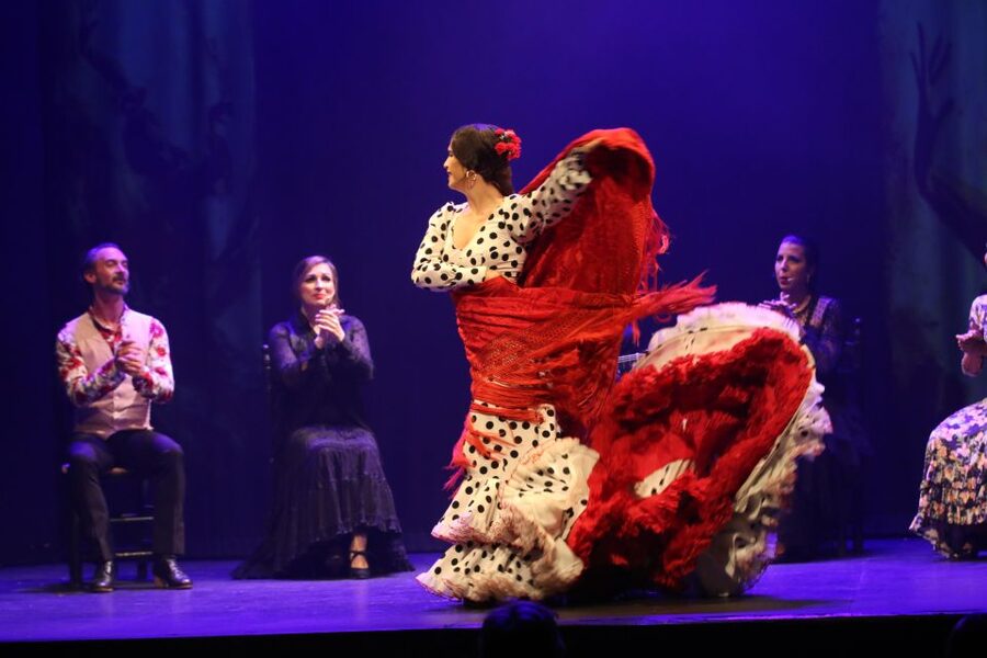 Malaga: Teatro Flamenco Malaga Live Flamenco Show - The venue: atmospheric, intimate, and not perfect
