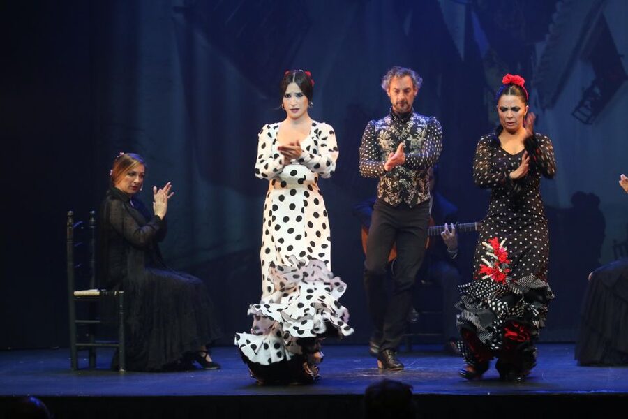 Malaga: Teatro Flamenco Malaga Live Flamenco Show - Who will enjoy this flamenco performance most