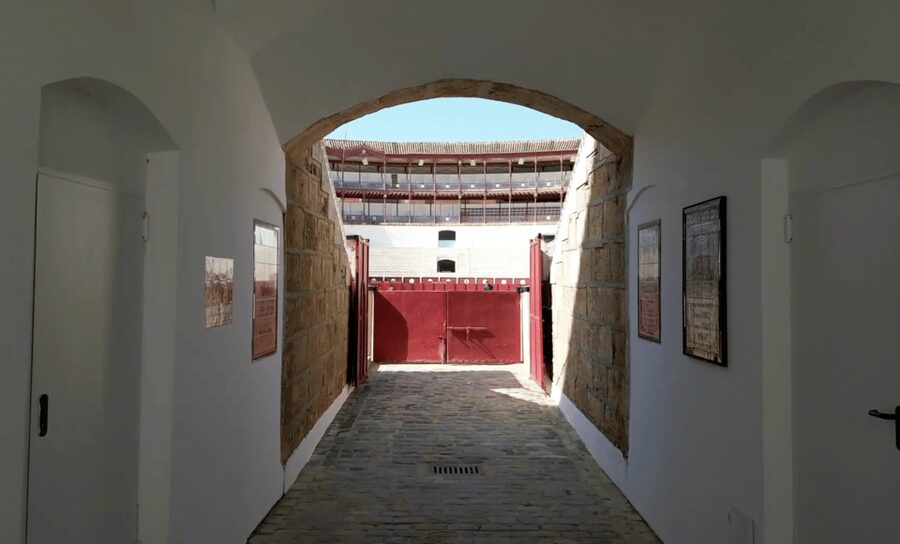 Malaga: Tour of Malagueta Bullring & Immersive Exhibition - The Permanent Exhibition of Objects and Relics