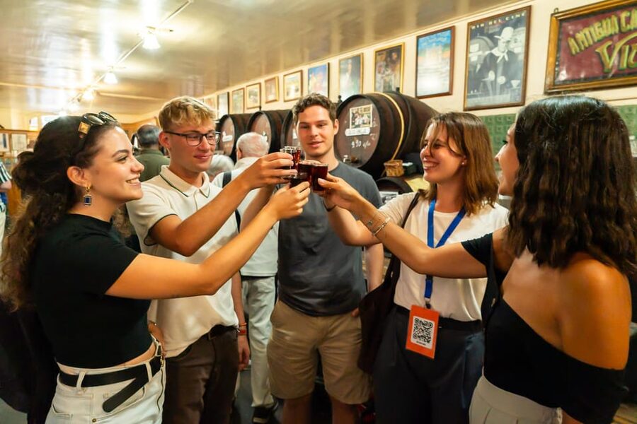 Malaga: Wine and Tapas Tour with Tastings and Drinks - The guide makes or breaks the evening