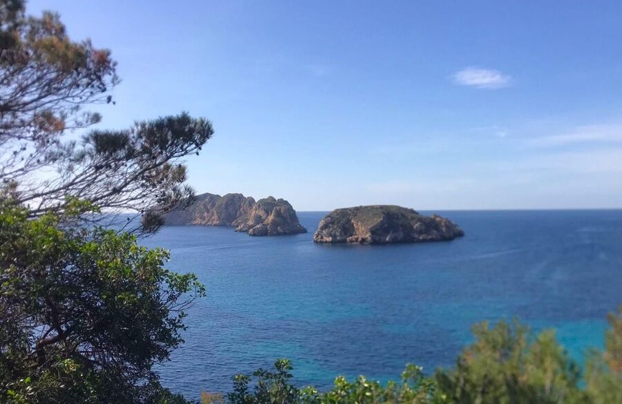 Mallorca: 2-Hour Coastline & Malgrat Islands Catamaran Tour - The secret swimming stop: 20 minutes in the sea