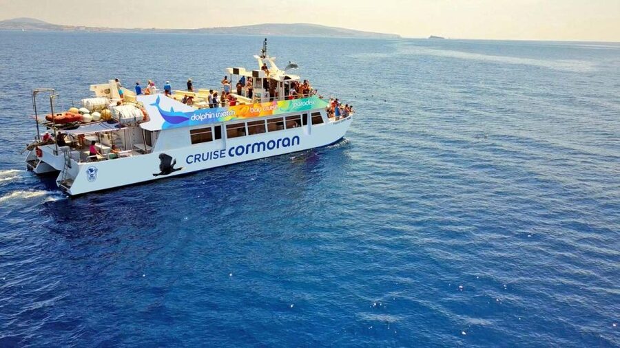 Mallorca: 2-Hour Dolphin Watching Cruise & Glass-Bottom Boat - Finding the best seat on the boat
