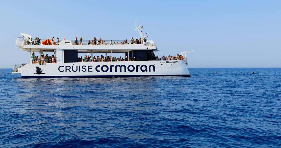 Mallorca: 2-Hour Dolphin Watching Cruise & Glass-Bottom Boat - The glass-bottom viewing area