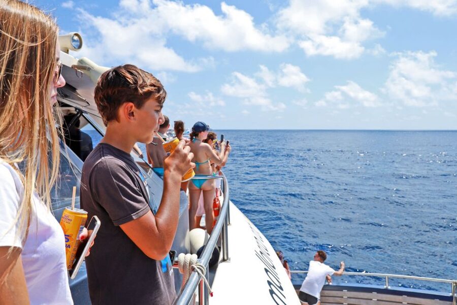Mallorca: 2-Hour Dolphin Watching Cruise & Glass-Bottom Boat - Food, drinks, shade, and onboard comfort