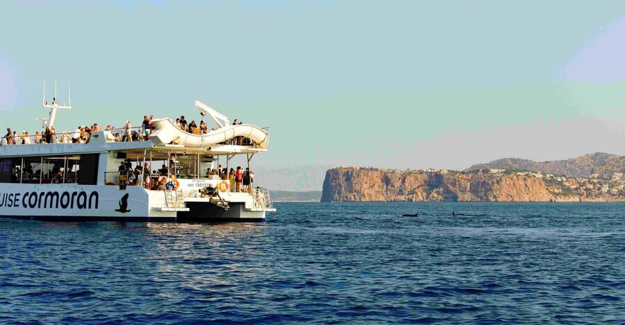 Mallorca: 2-Hour Dolphin Watching Cruise & Glass-Bottom Boat - Who should book this Mallorca cruise