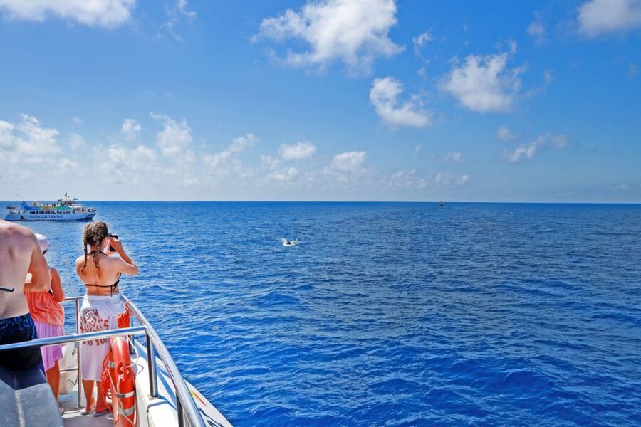 Mallorca: 2-Hour Dolphin Watching Cruise & Glass-Bottom Boat - Leaving Mallorca early in the day