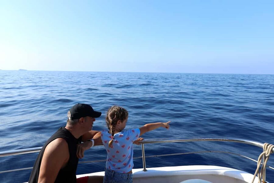 Mallorca: 3-Hour Afternoon Dolphin Watching Boat Tour - Santa Ponsa or Paguera: Picking Your Departure