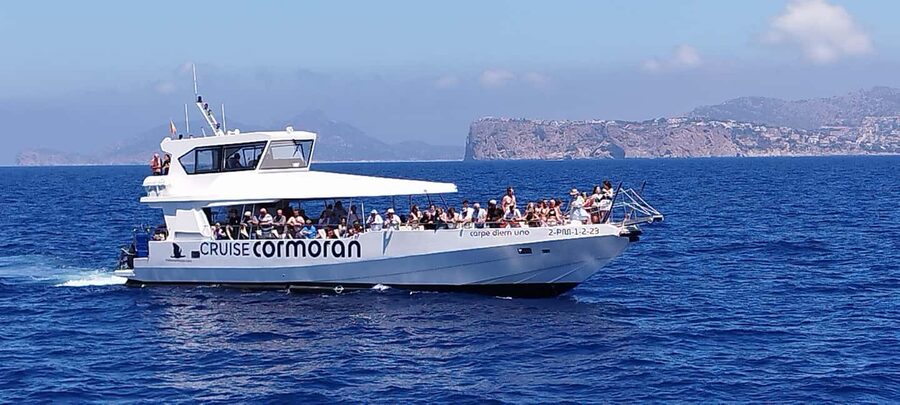 Mallorca: Catamaran Coastal Cruise with Lunch - Who should book this cruise?