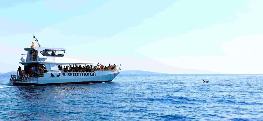 Mallorca: Catamaran Coastal Cruise with Lunch - The 40-minute stop at Port Andratx