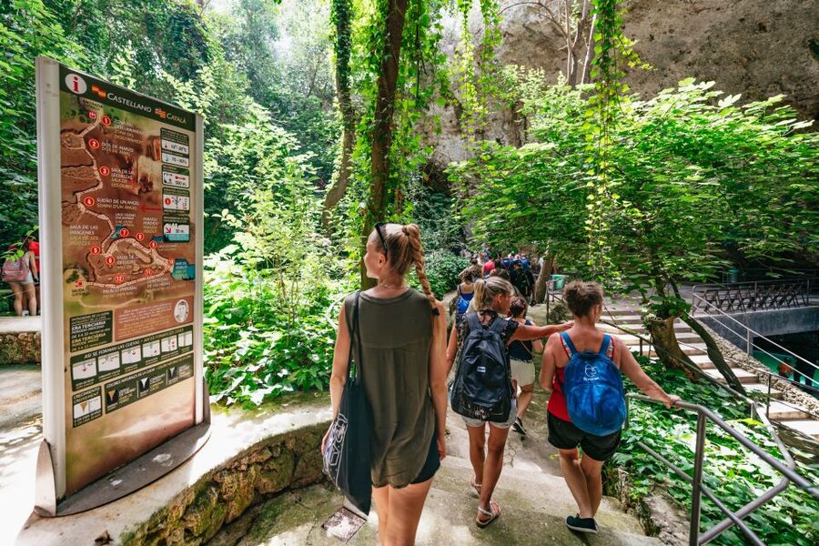 Mallorca: Caves of Drach Day Trip & Optional Caves of Hams - Key points at a glance