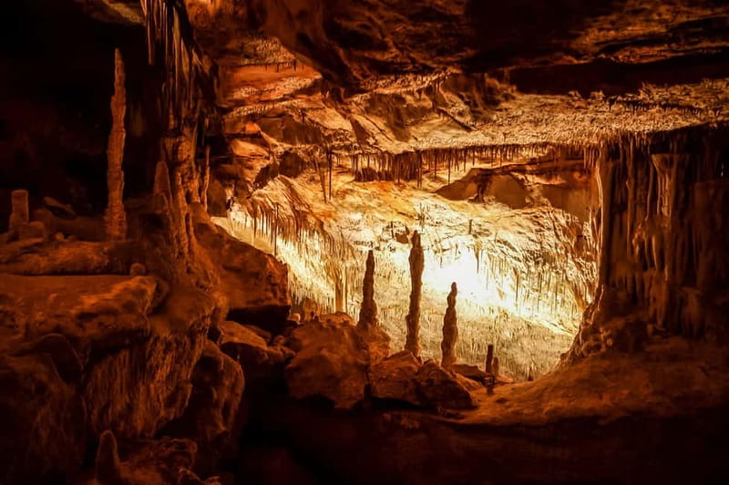 Mallorca: Caves of Drach Tour from the North with Boat Trip - The Mallorca pearl stop: useful, but not for everyone