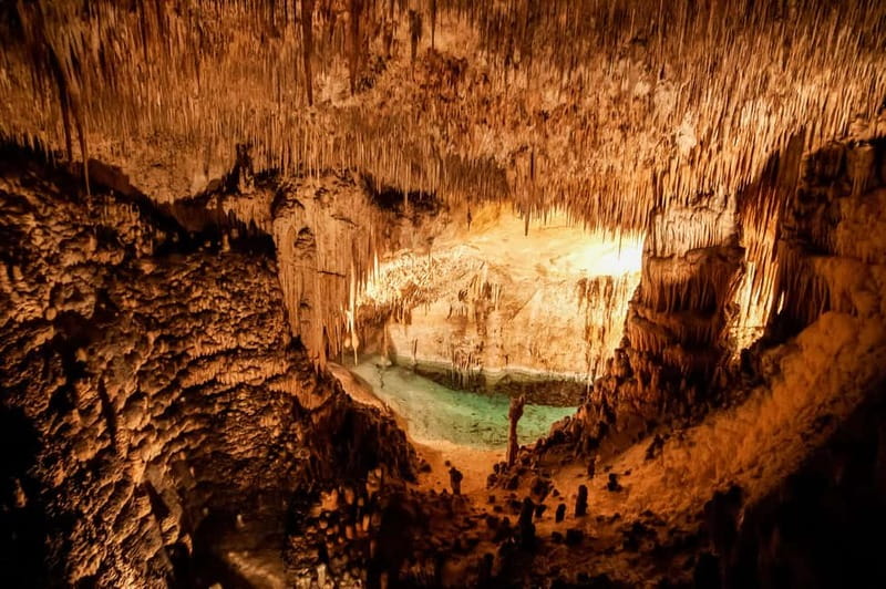 Mallorca: Caves of Drach Tour from the North with Boat Trip - Porto Cristo and the extra time in the area
