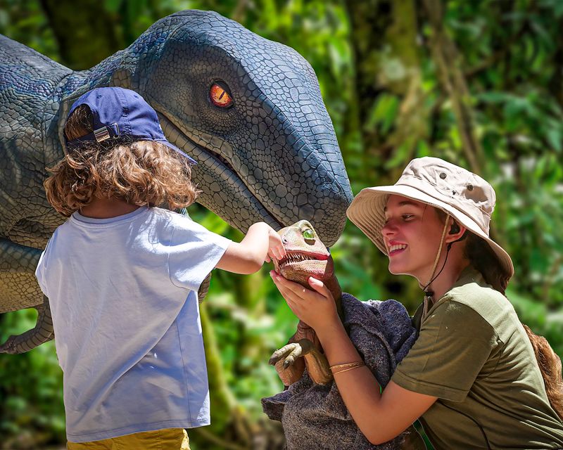 Mallorca: Dinosaurland and Caves of Hams Combined Ticket - Explorer Zone Fossil Activities