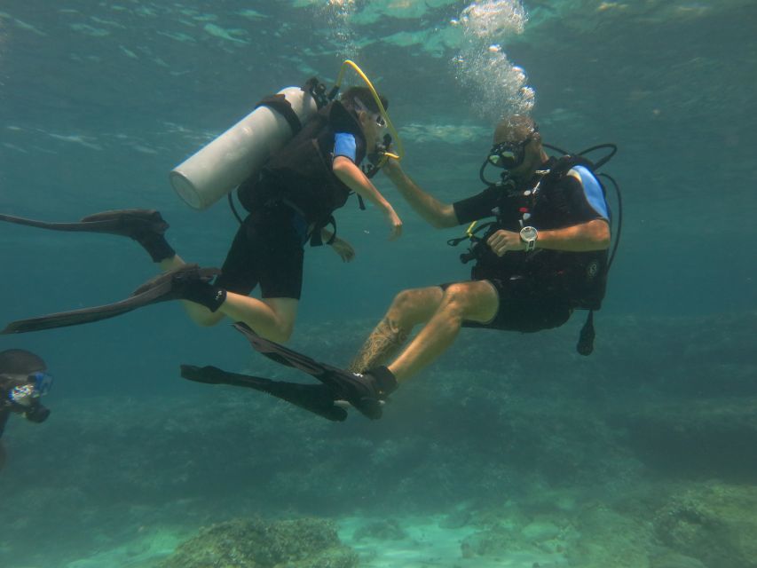 Mallorca: Discover Scuba Diving for Beginners - Final verdict: should you book it?