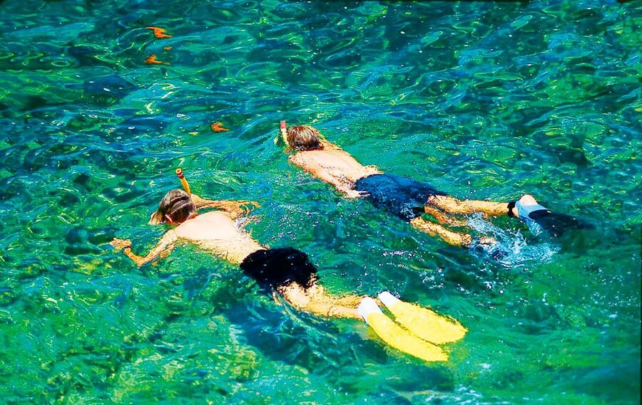 Mallorca: Dolphin Watching Cruise - The swim stop in clear water