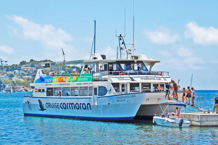 Mallorca: Dolphin Watching Cruise - A glass-bottom boat with two ways to watch