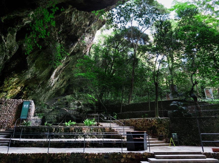 Mallorca: Drach Caves, Lake Martel, & Pearl Factory Day Trip - What to expect from the Majorica pearl stop