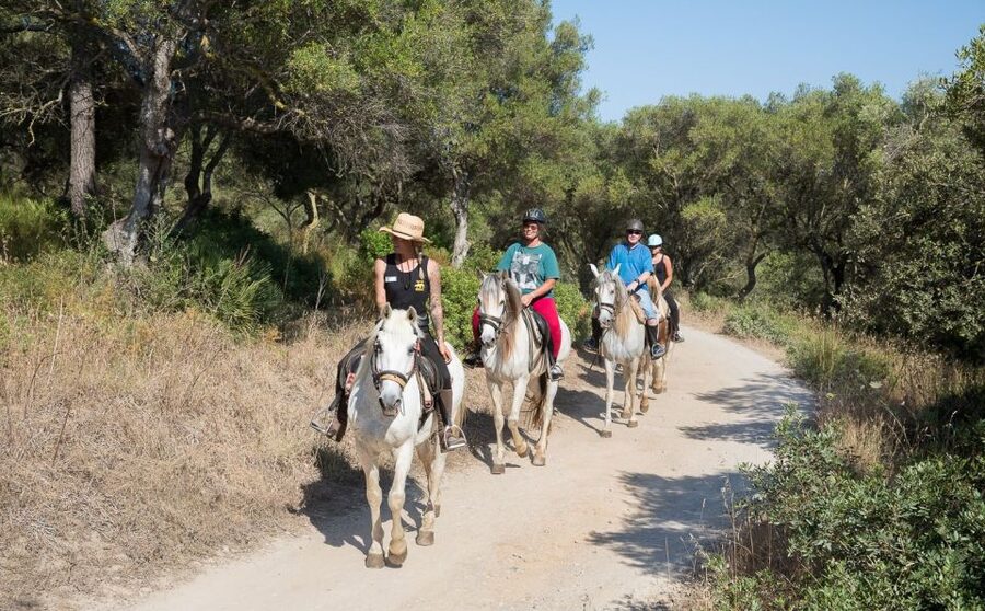 Mallorca: Horseback Riding Excursion and Wine Tasting - Arriving at Ranxo Ses Roques
