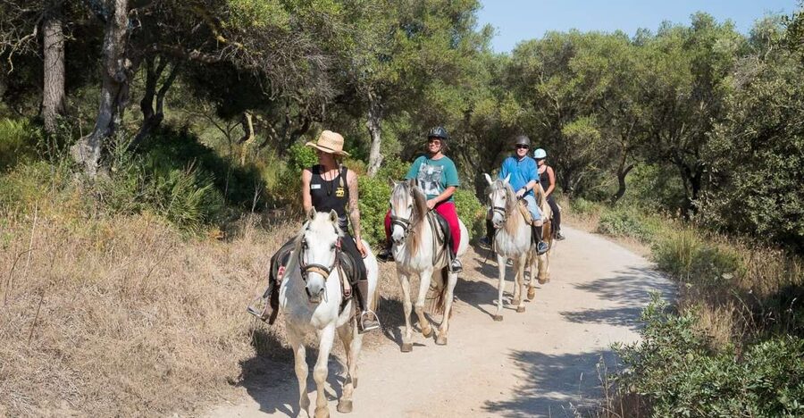 Mallorca: Horseback Riding Excursion and Wine Tasting - One hour through Puig de Sant Martí