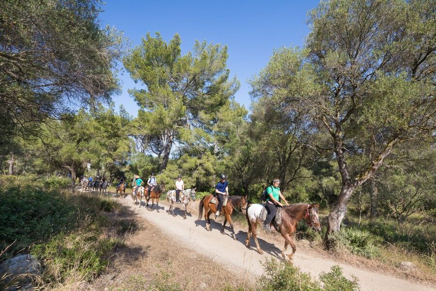 Mallorca: Horseback Riding Excursion and Wine Tasting - Practical details before you reserve