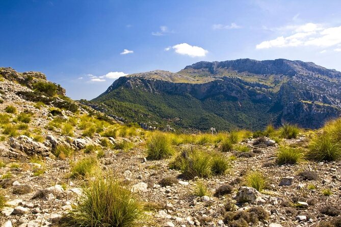 Mallorca in One Day Sightseeing Tour with Boat Ride and Vintage Train - Key points before you book