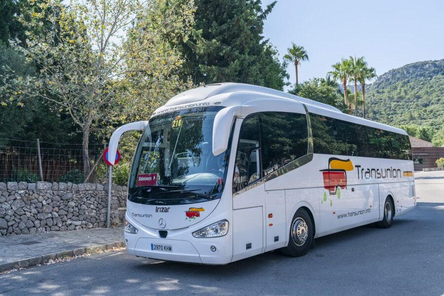 Mallorca: Island Tour with Boat, Tram & Train from the South - Guides, languages, and how the day feels