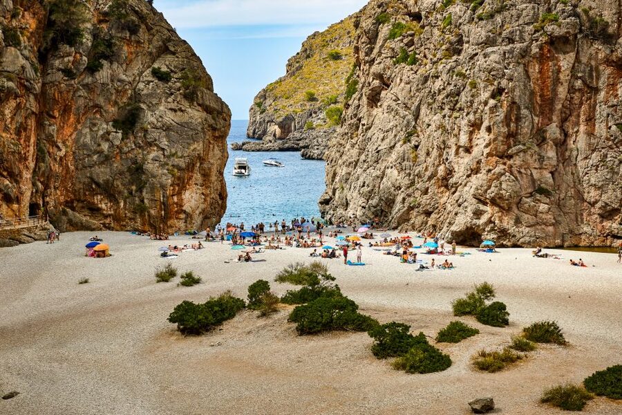 Mallorca: Island Trip by Train, Tramway, and Boat - Key points to know before you go