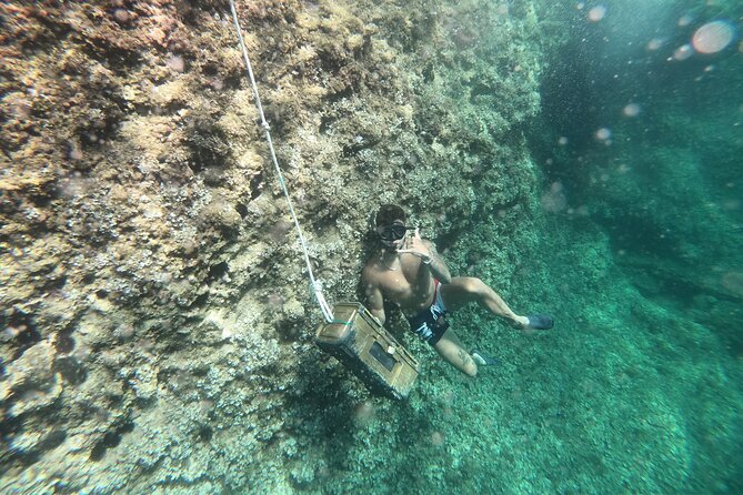 Mallorca: Kayaking, Sea Cave, Cliff Jumping & Snorkel Tour - Why this Mallorca tour feels different from a standard kayak trip