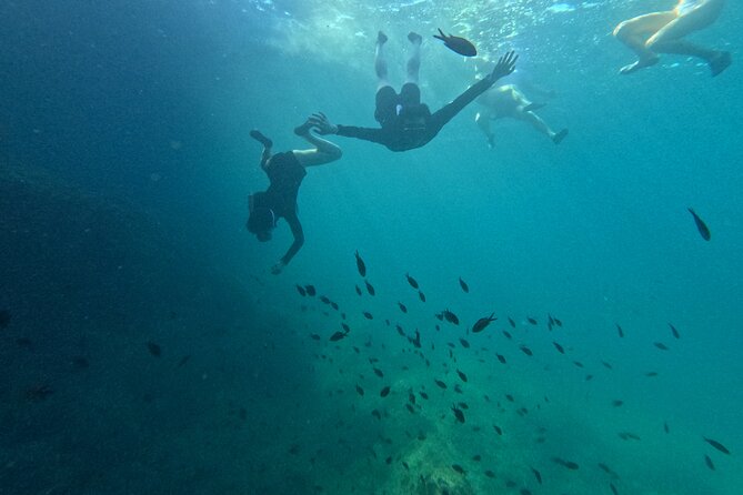 Mallorca: Kayaking, Sea Cave, Cliff Jumping & Snorkel Tour - The picnic, photos, and what is included