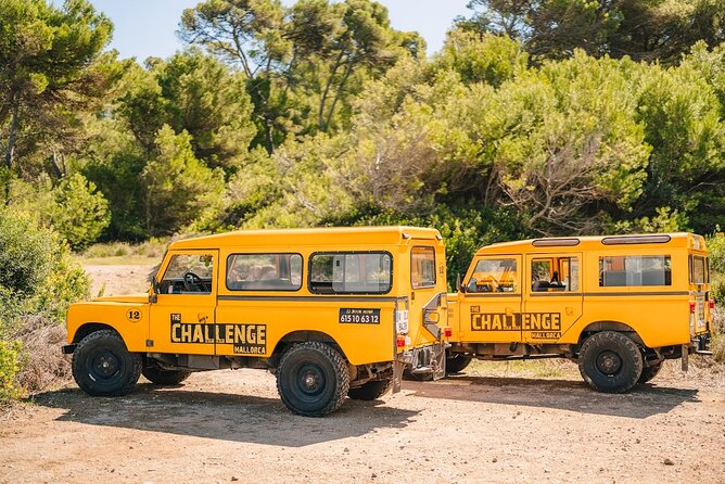 Mallorca: Kayaking, Sea Cave, Cliff Jumping & Snorkel Tour - Starting near Alcúdia with the right expectations
