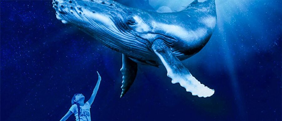 Mallorca: Palma Aquarium Entry Ticket w/ Optional 3D Cinema - Big Blue gives Palma Aquarium its dramatic start