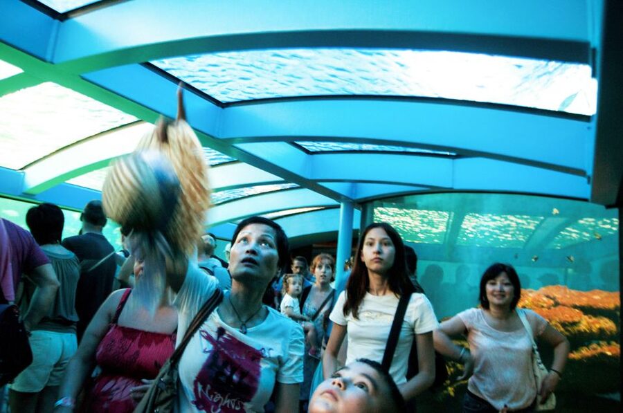 Mallorca: Palma Aquarium Entry Ticket w/ Optional 3D Cinema - FAQ
