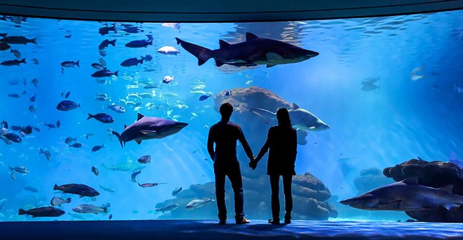 Mallorca: Palma Aquarium Entry Ticket w/ Optional 3D Cinema - Follow the 1-kilometer route through eight habitats