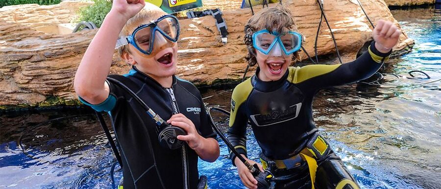 Mallorca: Palma Aquarium Entry Ticket w/ Optional 3D Cinema - Add the Aquadome for a short whale experience