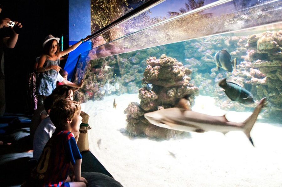 Mallorca: Palma Aquarium Entry Ticket w/ Optional 3D Cinema - Why the aquarium works well for families