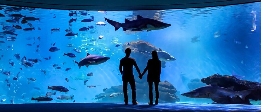 Mallorca: Palma Aquarium Entry Ticket w/ Optional 3D Cinema - Food, comfort, and practical planning