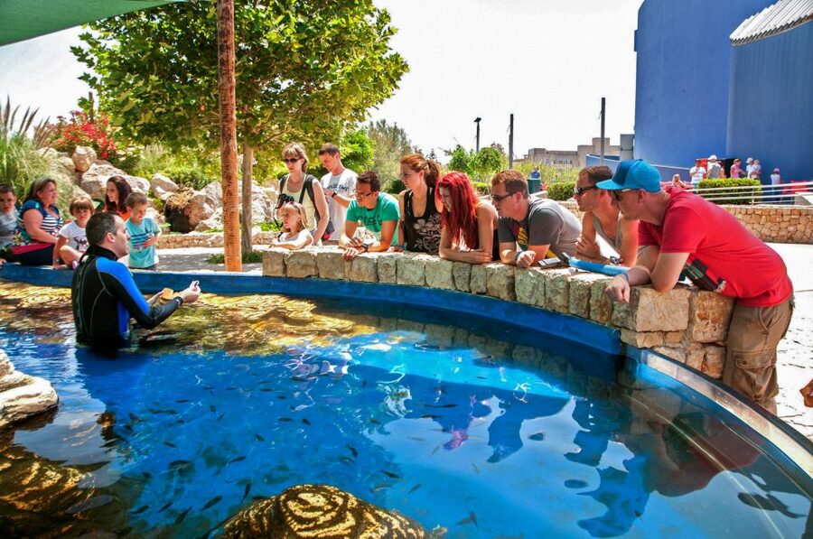 Mallorca: Palma Aquarium Entry Ticket w/ Optional 3D Cinema - Is the $39 ticket good value?