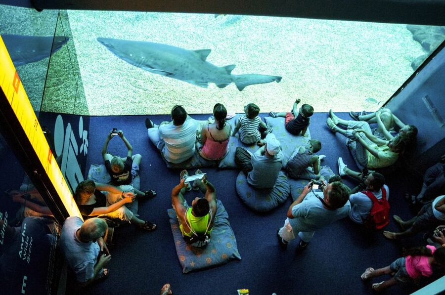 Mallorca: Palma Aquarium Entry Ticket w/ Optional 3D Cinema - Who should book Palma Aquarium?