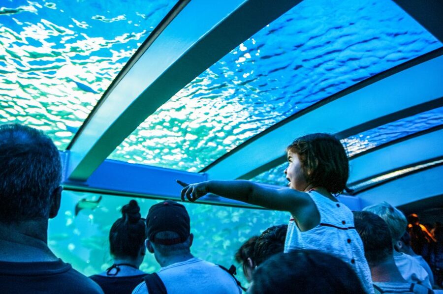 Mallorca: Palma Aquarium Entry Ticket w/ Optional 3D Cinema - Final decision: book it or skip it?